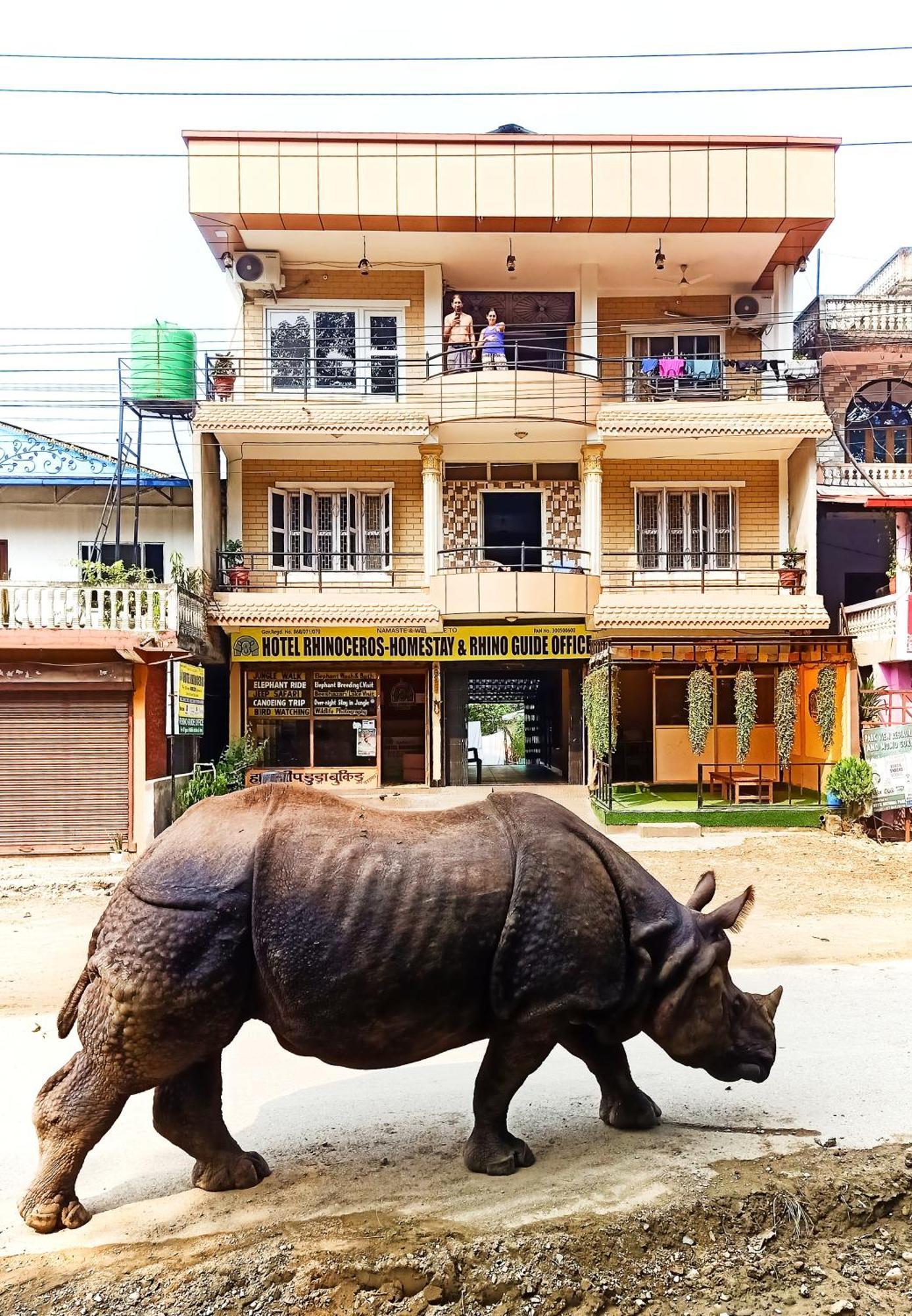 Hotel Rhinoceros-Homestay Sauraha Exteriör bild