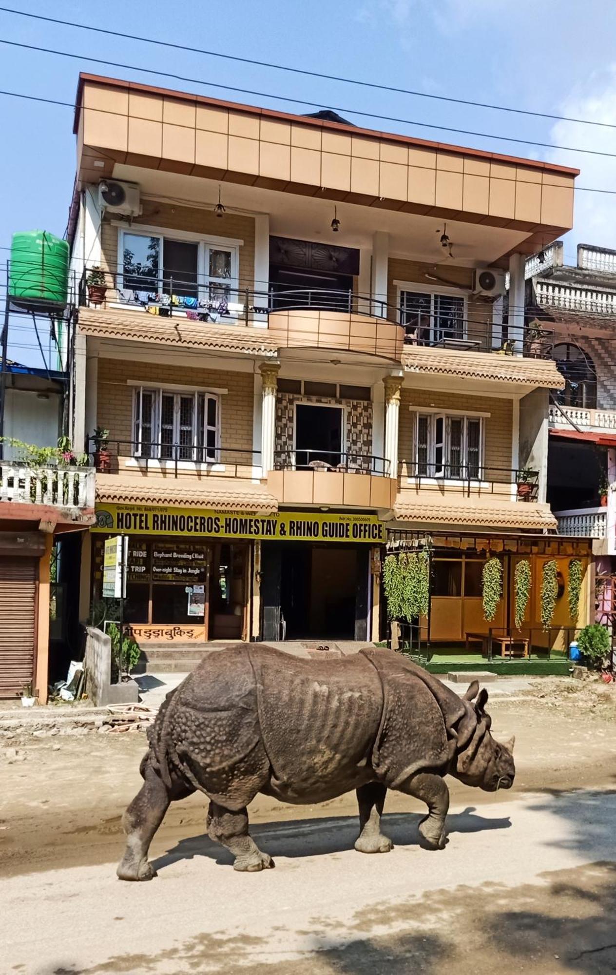 Hotel Rhinoceros-Homestay Sauraha Exteriör bild