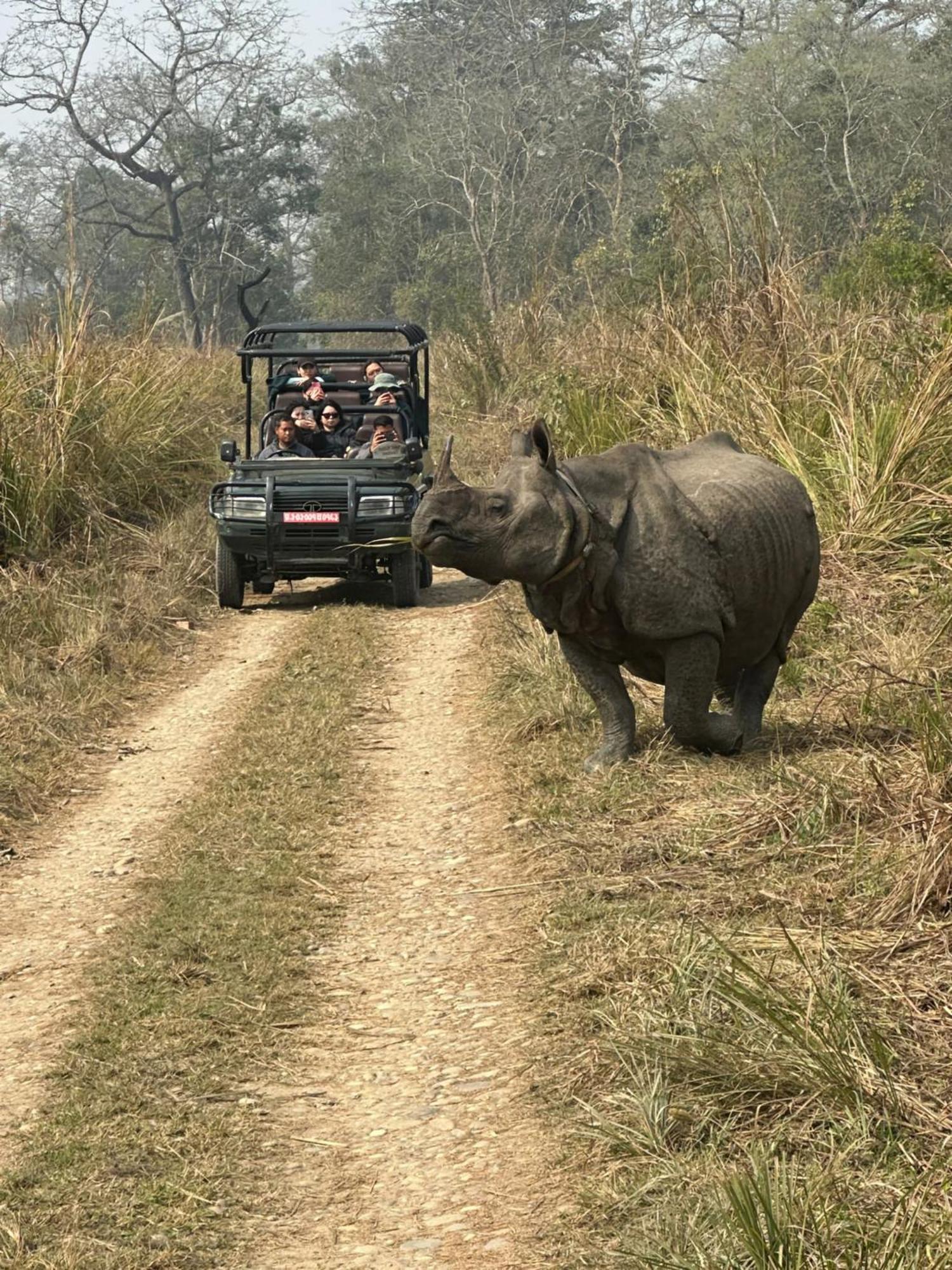 Hotel Rhinoceros-Homestay Sauraha Exteriör bild