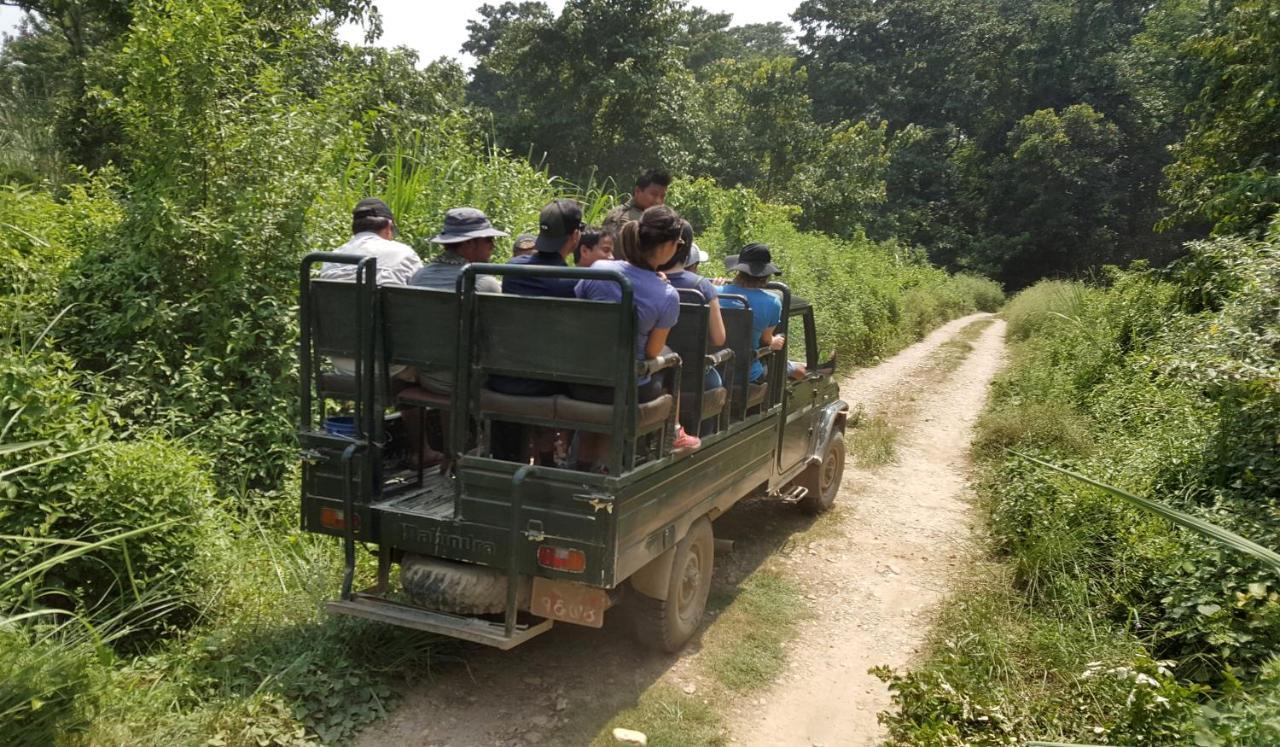 Hotel Rhinoceros-Homestay Sauraha Exteriör bild