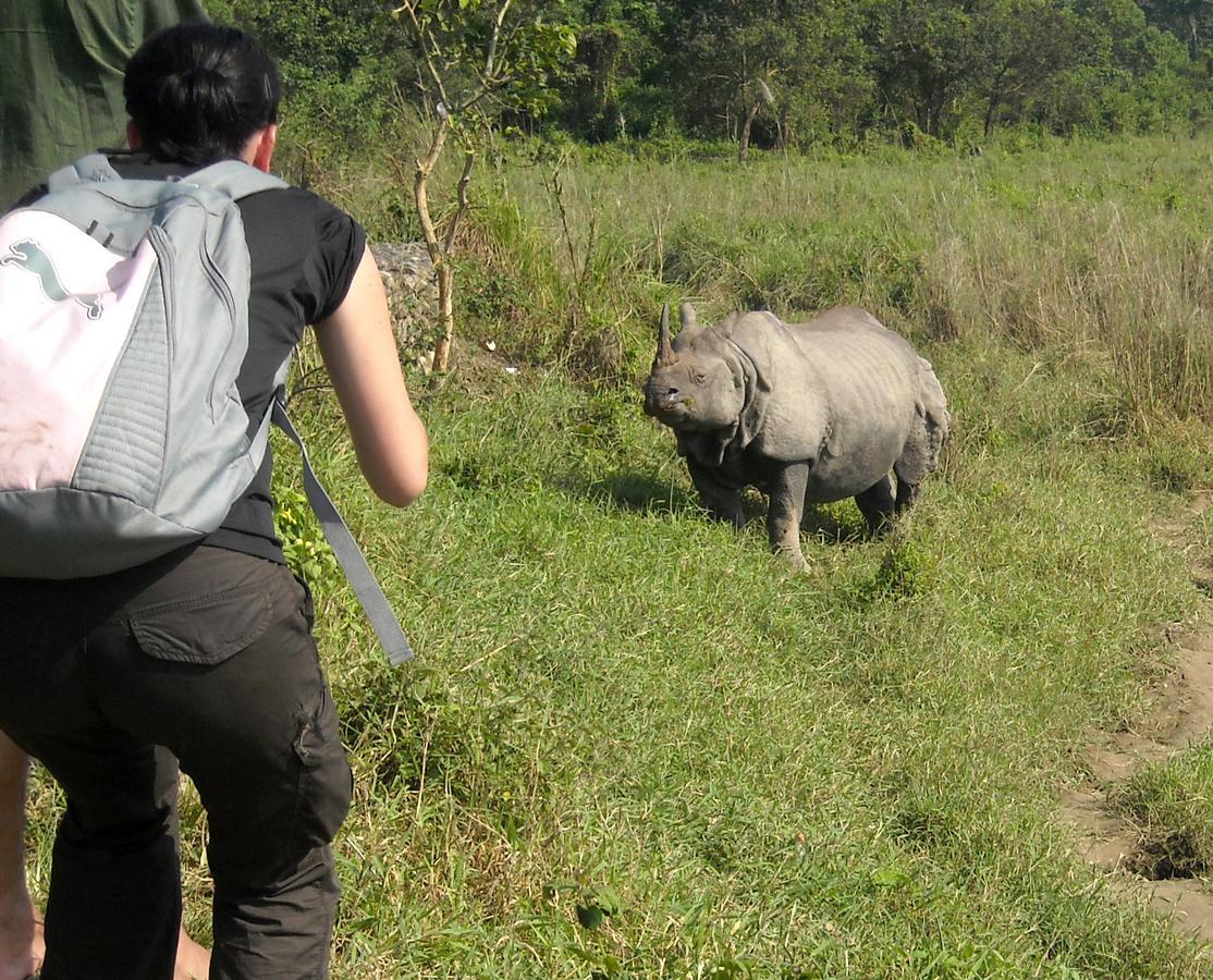 Hotel Rhinoceros-Homestay Sauraha Exteriör bild